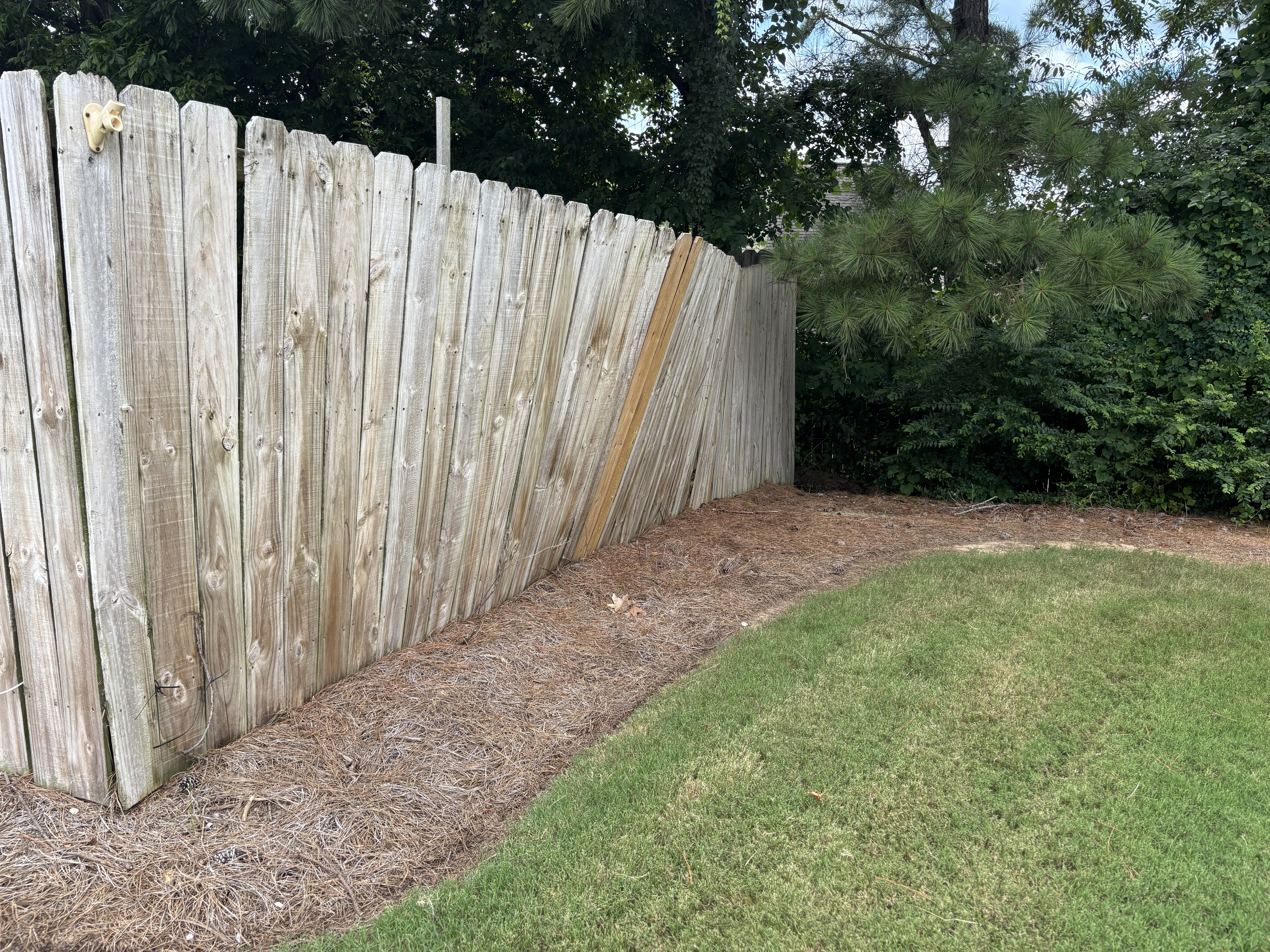 Fence Build Before